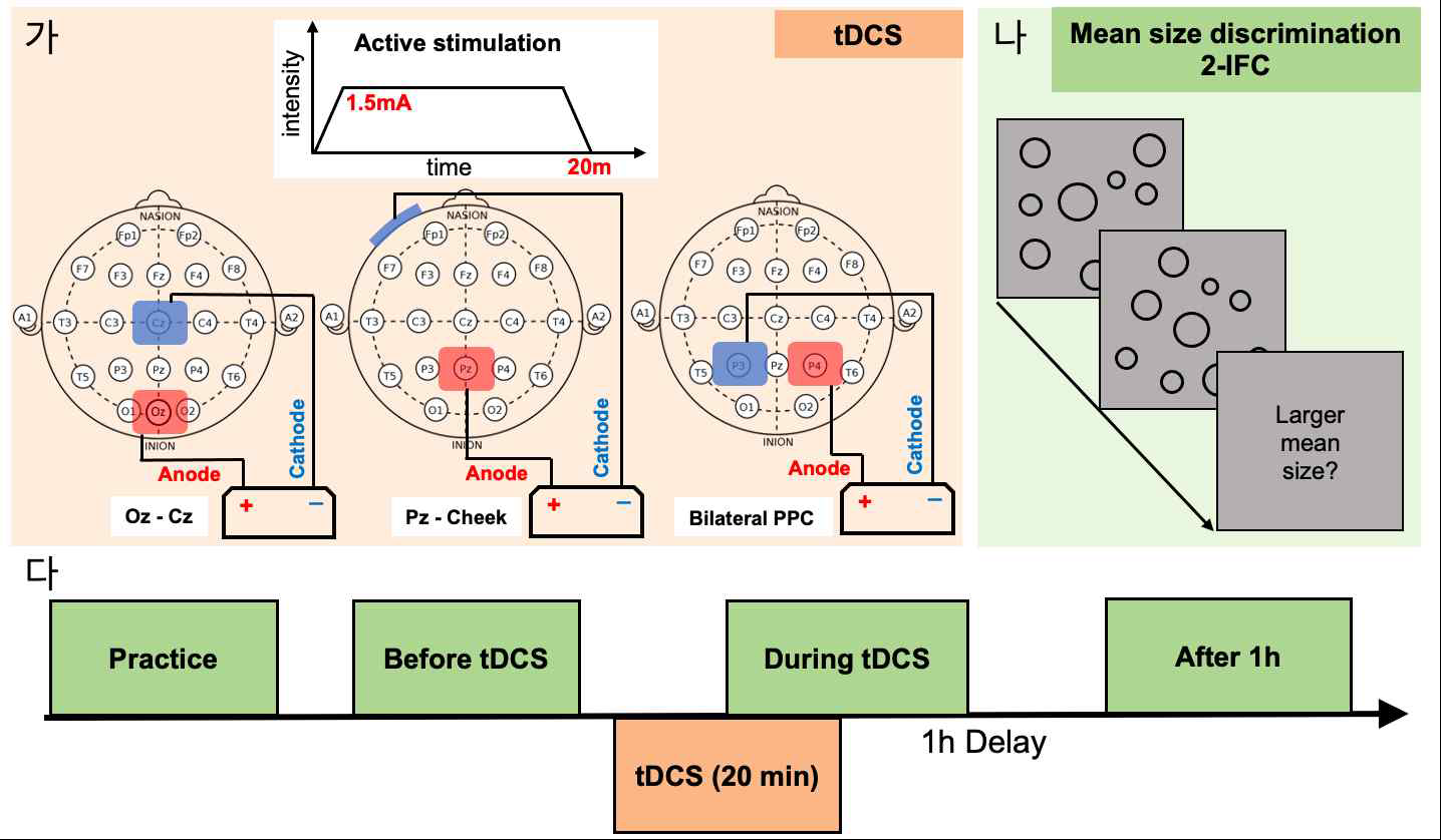 (가) 경두개전기자극 기법 개요. (나) 평균 원 크기 변별 과제 도식. (다) 실험 2의 전기 자극 실험과 행동 실험 절차 도식
