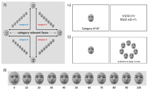 (가) 학습에 사용된 얼굴 자극과 자극 합성에 사용된 원본 얼굴(검은색 실선과 점선 동그라미 안에 있는 얼굴). 검은색 실선 동그라미 얼굴은 한 범주의 모든 자극에 합성된 원본 얼굴을 나타내며, 검은색 점선 동그라미 얼굴은 두 얼굴 범주에 공통적으로 합성된 얼굴을 나타냄. (나) 범주 학습 단계의 범주화 과제 화면과 피드백 화면. (다) 지각 과제 화면. (라) 지각 과제에서 사용하는 자극 생성 예시. 기존에 학습된 범주 관련 얼굴이 새로운 얼굴들과 합성되었음. 얼굴 밑의 숫자는 새로운 얼굴이 합성된 비율을 의미함