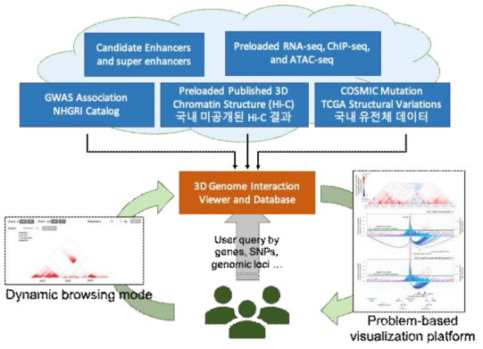 염색질 3차구조 데이터베이스 구조