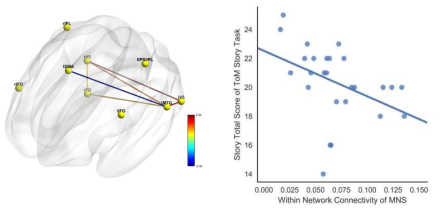 조현병 환자에서 거울신경구조망의 이상과 거울뇌기능회로망과 정신화기능 뇌기능회로망의 연결의 이상이 분석됨(왼쪽). 거울신경구조망의 이상은 사회적 인지 기능의 이상과 밀접한 관계가 있음(오른쪽)