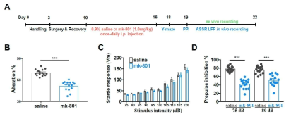 선행자극 억제 (Pre-pulse inhibition) assay 실험에 대한 개요도