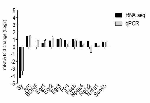 Real-time qPCR로 RNAseq 결과 발굴된 유전자 발현 변화를 확인. qPCR 결과 RNAseq 결과 발굴된 유전자 발현이 대부분 일치함