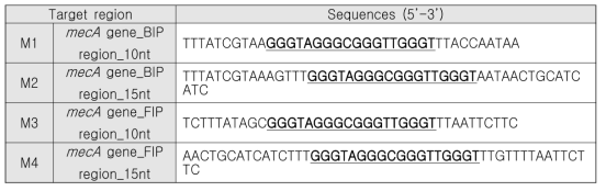 mecA gene 특이적 분자비콘의 염기서열