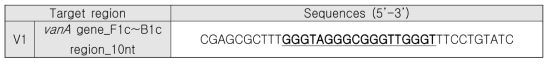 vanA gene 특이적 분자비콘의 염기서열