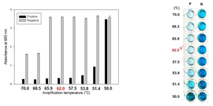 PBP2a 검출용 등온비색 증폭기술의 최적 증폭온도 확인 결과