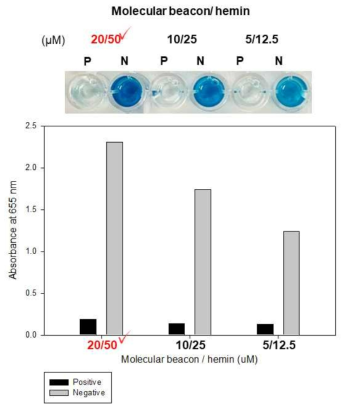 VanA 검출용 등온비색 증폭기술의 최적화: 분자비콘 및 헤민의 최적 농도 확립