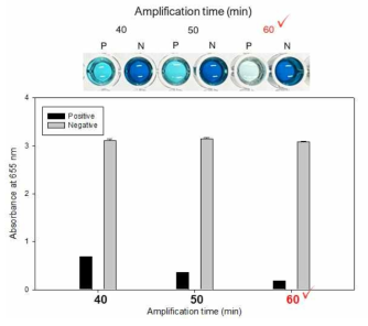 황색포도상구균 검출용 등온비색 증폭기술의 최적 증폭시간 확인 결과