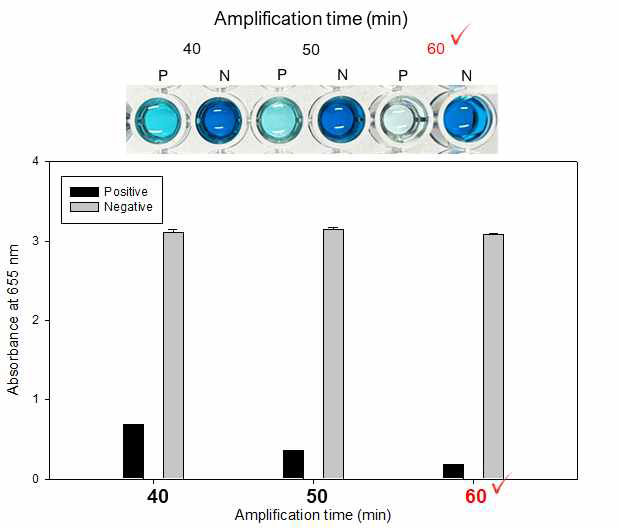 PBP2a 검출용 등온비색 증폭기술의 최적 증폭시간 확인 결과