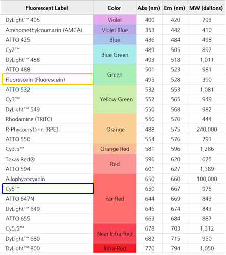 형광 dye별 absorbtion 및 emission wavelength (400~800 nm)