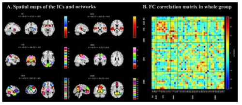 (A) 6개의 뇌 기능적 네트워크 (B) 네트워크 간 상관관계
