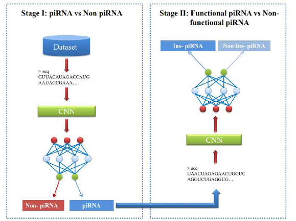 piRNA 식별 전산 모델