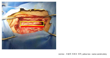 광음향 영상을 획득하기 위한 실험 구성