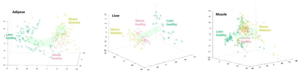 대사질환 유전자 발현 데이터의 지방, 간, 근육 조직별 데이터를 기반으로 한 정상군(Lean healthy), 비만군(Obese healthy), 대사이상군(Obese metabolic disorder)의 PCA plot 상의 분포