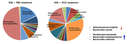 Bacteroides 균종을 제외한 마이크로바이옴의 분포 변화