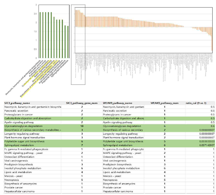 SIC3와 WIC9의 전체 유전체 비교. (A) 유의적인 차이를 나타내는 유전자들의 상대적인 풍부도 (B) 단백질의 관련 pathway와 작용 유전자의 수 비교