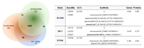 UK-1, SL1344, DT-104의 유전체의 비교 분석