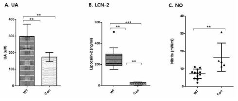 STM 3종의 감염 후 장내 환경에서 uric acid, lipocalin-2 (LCN-2), Nitrites의 생산량