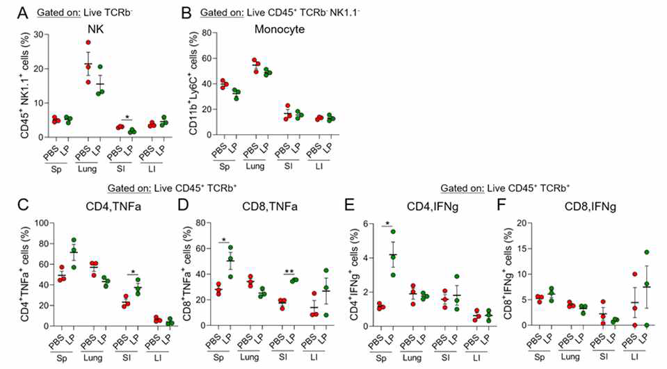 무균 마우스에 mono-colonization을 통한 LP의 소화기 면역 세포 군집 및 기능 확인. A-B, 선천 면역 군집 중 NK, monocyte 비교. C-D, CD4/8에서 TNFa발현 비교. E-F, CD4/8에서 IFNγ발현 비교