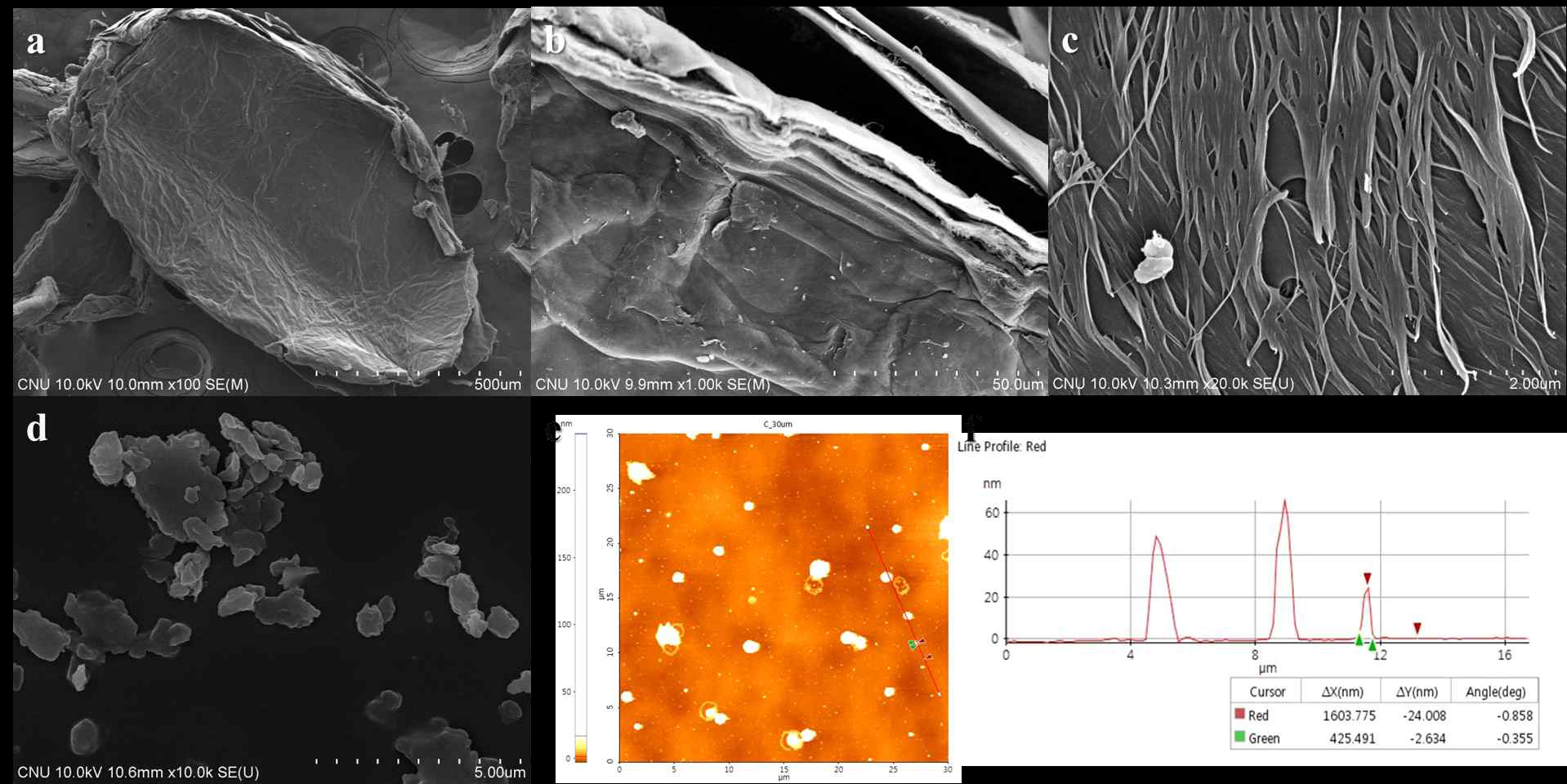키틴(a) 과 키틴의 겹겹이 쌓여있는 구조(b) 키틴 표면의 마이크로피브릴배열(c) 과 그로부터 제조된 바이오 나노플레이크의 현미경 사진과 (d) AFM 결과 (e)(f)