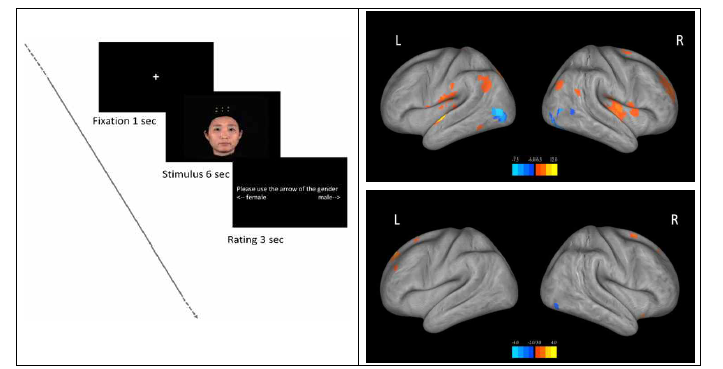 실험 절차(좌), Fixation과 얼굴 표정간 대조 (우상), 긍정-부정 표정간 대조 (우하)