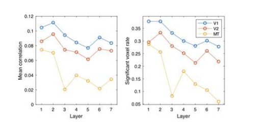 기본 시각 처리 영역 (V1, V2, MT)과 기계학습의 변수 사이의 상관관계 변화. 높은 층의 변수일수록 초기 시각피질의 활동에 대한 전반적인 예측력이 떨어지고 (왼쪽) 유의미한 영역도 감소함 (오른쪽)