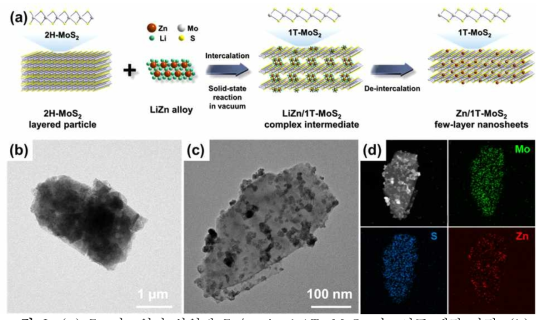 (a) Zn 나노입자 삽입된 Zn/strained 1T-MoS2 나노시트 제작 과정. (b) 2H-MoS2의 TEM 이미지와 Zn/strained 1T-MoS2 나노시트의 (c) FE-TEM 및 (d) EDS 분석 결과