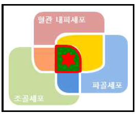 선도소재 발굴