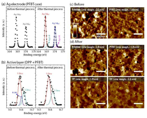 (a)PFBT SGI를 도입 후 열처리 전후에 따른 전극의 자발적 표면처리의 XPS 분석. (b)DPP 필름에 PFBT SGI의 열처리 전후에 따른 잔여 여부 XPS 분석. (c)Pristine DPP와 DPP에 PFBT SGI 혼합에 따른 열처리 전의 표면구조 변화 분석. (d)열처리 후 DPP 필름과 PFBT SGI의 혼합 필름의 표면구조 분석