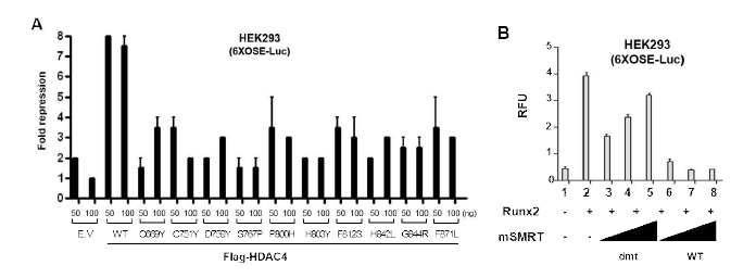 Requirement of HDAC4-SRD3 interaction for Runx2-mediated repression