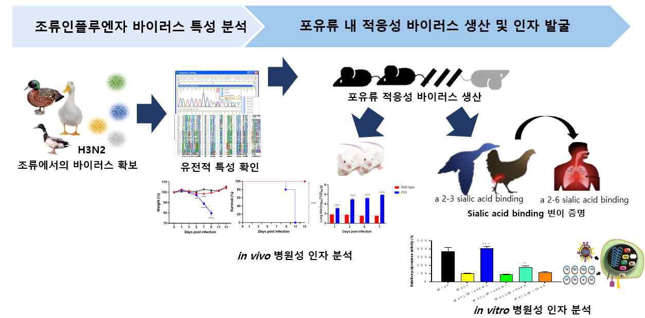 연구개발 과제 수행과정 및 내용