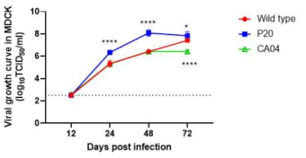 MDCK세포에서의 바이러스 성장 곡선 측정