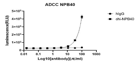 키메라 항체 Chi-NPB40의 간암세포주에 대한 ADCC에 의한 독성 측정. Huh-7 세포를 target cell로, ADCC bioassay effector cell을 effector cell로 12:1 ratio에서 ADCC를 수행하고 Bio-Glo reagent를 통해 luminescence를 관찰함