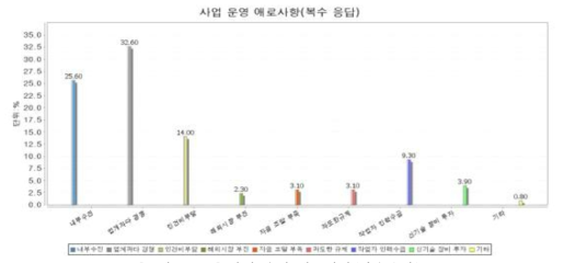 사업 운영 애호사항(복수응답)