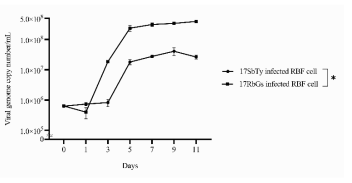 Compared with viral genome copies (means ± SD) of 17RbGs and 17SbTy isolates for infected cell (in vitro)