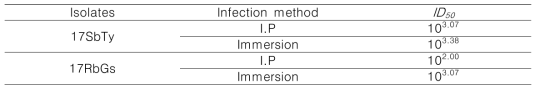 Lethal doses of RSIV viruses (17SbTy and 17RbGs) in rock breams