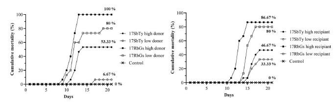 The cumulativemortalityof the infected rock breams to high- and low-dose (104and 102viral genome copies/fish of 17SbTy and 17RbGs)