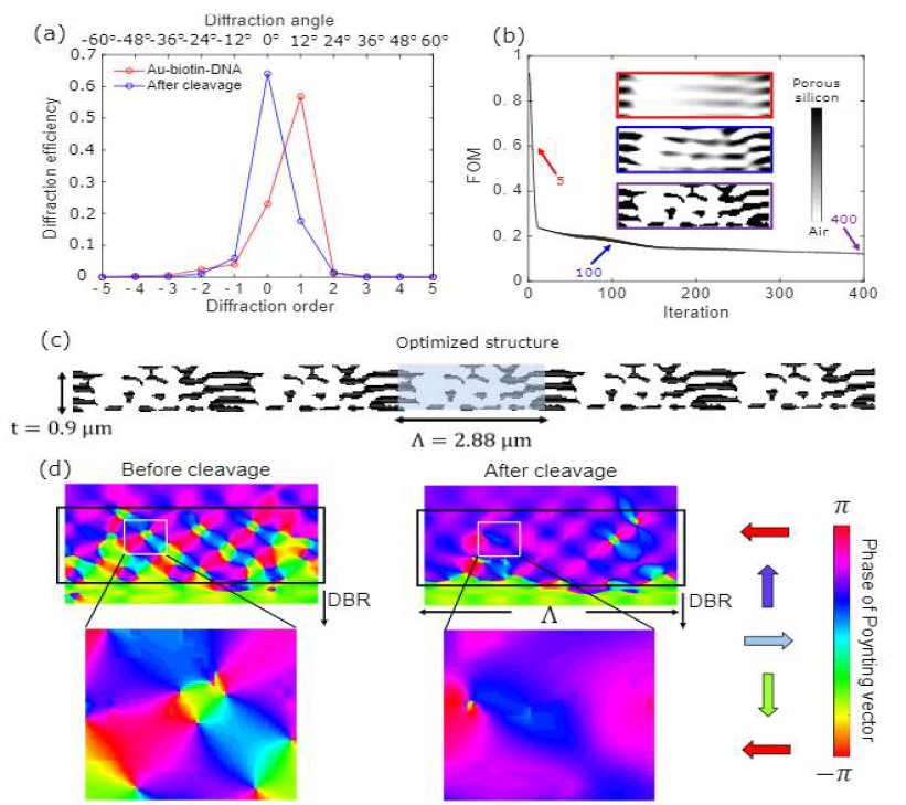 Optimization of a porous silicon grating via inverse design at 600 nm wavelength. (a) Diffraction efficiency of the optimized device at 600 nm wavelength. The target order diffraction shows 58 % (with probes attached) and 65 % (after cleavage). (b) Inverse design iteration versus figure of merit. The inset figures show intermediate structures in the inverse design iteration. (c) The optimized final 2D freeform design of the porous silicon sensor. (d) The optical powerflow pattern in the sensor near field (quantified by plotting the phase distribution of the Poynting vector)