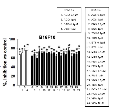 Epi-drug의 non-toxicity dose의 epigenetic modification effect 확인