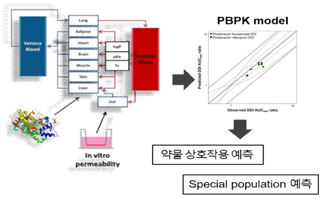 생리학 기반 약동학(PBPK) 모델 개념도