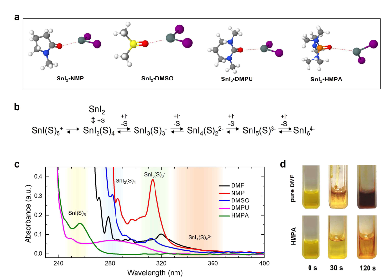 SnI2-루이스 염기간 분자 상호작용 시뮬레이션 결과 및 이를 기반으로 한 실험결과 (UV-vis 흡광 스펙트럼 및 용액 사진)