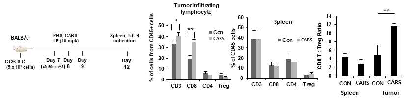 syngeniec mouse model에서 CARS1에 의한 anti-cancer adaptive immunity 활성화