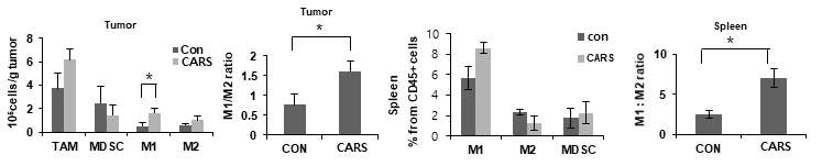 syngeniec mouse model에서 CARS1에 의한 anti-cancer innate immunity 활성화