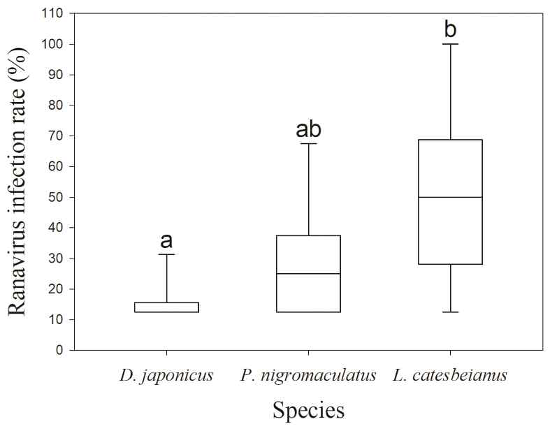 청개구리, 참개구리, 황소개구리의 라나바이러스 감염률 종간 비교