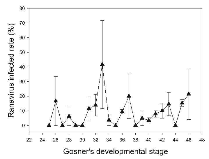 가스너발달단계에 따른 라나바이러스 감염률 변화