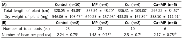 수확후 식물의 (A) 전체 길이 및 건중량, (B) 생산량 인자