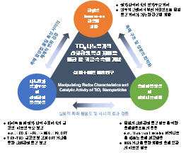 본 기본연구 과제의 수행내용