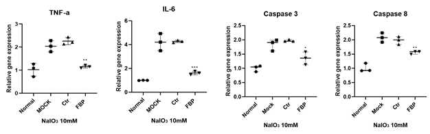 망막세포주에 NaIO3 처리 후 FBP처리에 염증인자의 감소와 세포사멸 인자의 억제 (q-PCR)