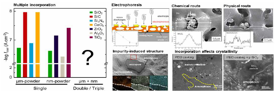 Illustration of the coating layer with incorporation secondary particles via electrophoresis