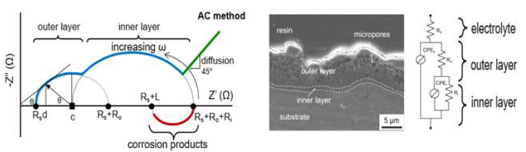 Nyquist curve through impedance experiment and proposed rheological circuit model