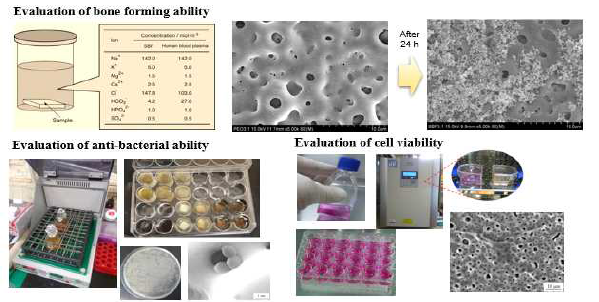 The bioactive assessments of the bio-ceramic composite coatings